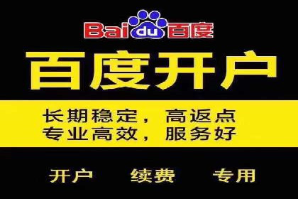 案例解析：如何通过推广竞价提升品牌知名度